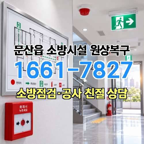 게시판 이미지 6244
